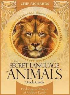 The Secret Language of Animals Oracle Cards